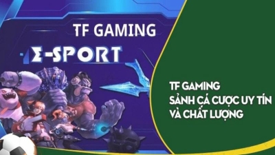 TF Esports - sảnh cá cược thể thao đẳng cấp chất lượng số 1 cho bet thủ